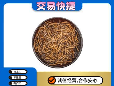 郑州市新郑高价回收散虫草