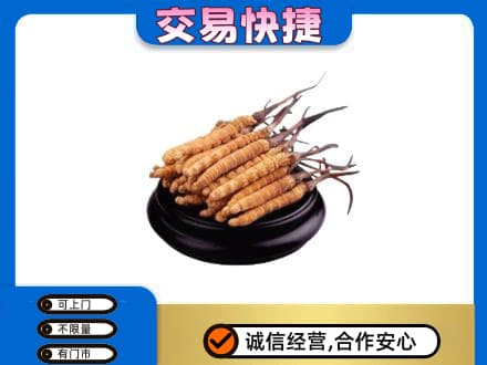 郑州市新郑礼品回收散虫草.jpg
